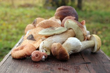 ahşap arka plan üzerinde mantar çörek