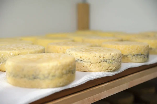 Formaggio al caseificio, il formaggio è stagionato su scaffali di legno — Foto stock gratuita