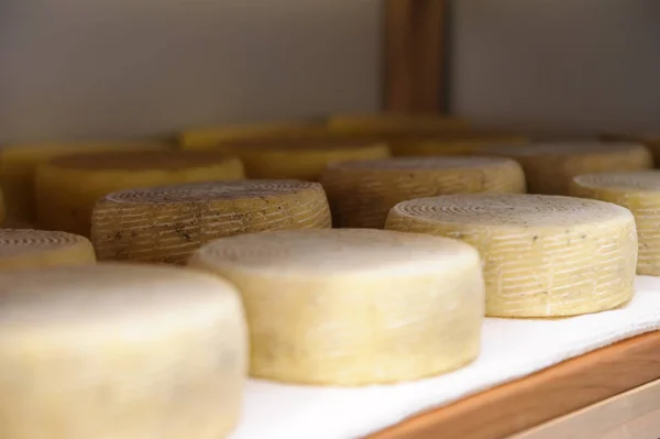 Queijo na leitaria, queijo está amadurecido em prateleiras de madeira Imagens De Bancos De Imagens Sem Royalties