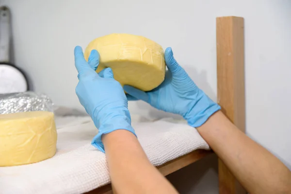 Ev yapımı Caciotta peynir ahşap tahta kırsal stili Telifsiz Stok Fotoğraflar