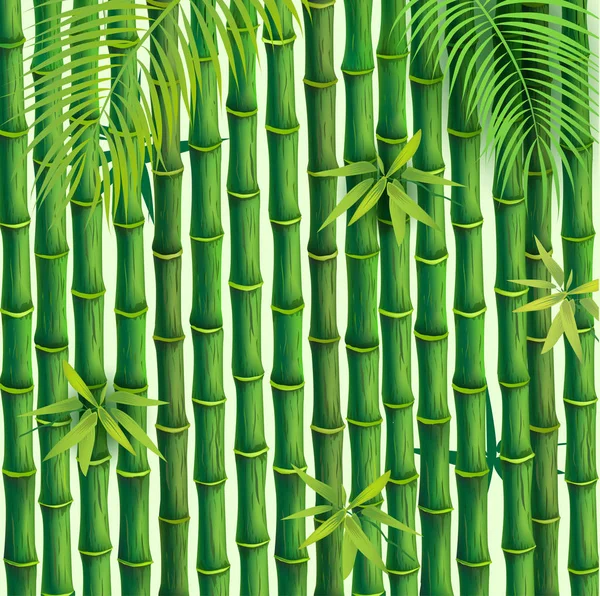 Tropical Leaves and bamboo — Stock Vector