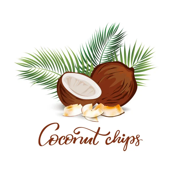 Illustration Kokosnusschips Gut Für Lebensmitteldesigns Und Etiketten — Stockvektor