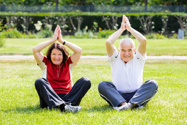 Couple Practising Yoga In Park — Stock Photo, Image