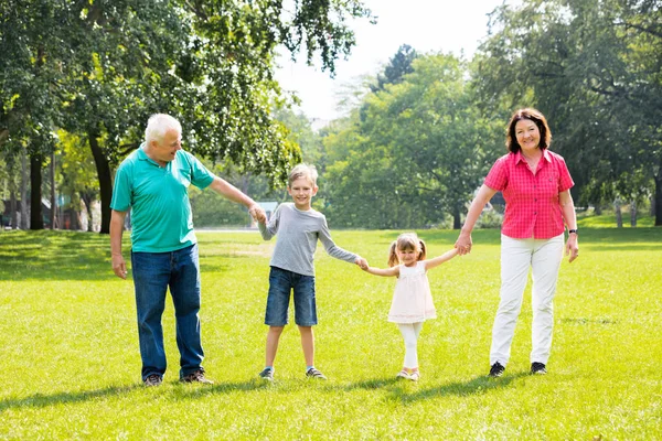 Nagyszülők és unokák együtt — Stock Fotó