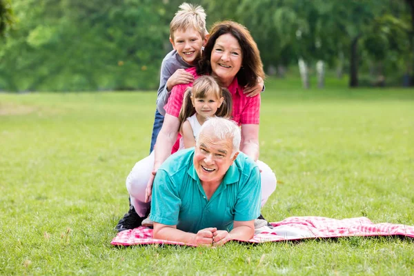 Retrato de abuelos felices — Foto de Stock