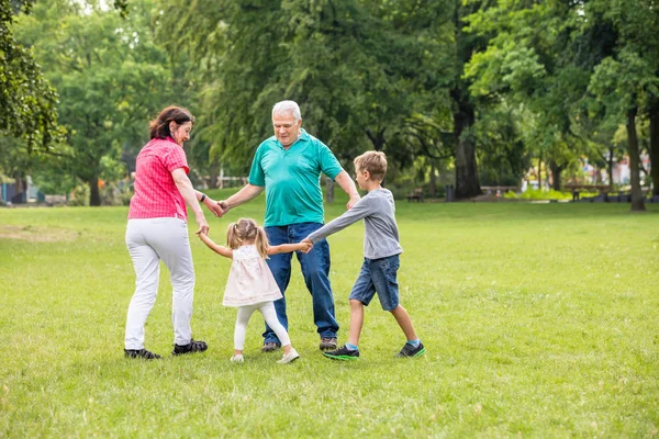 Grandparents Playing With Their Grandchildren — Stock Image Grandparents Playing With Their Grandchildren Royalty Free Stock Images