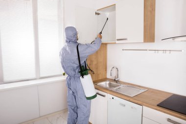 Worker Spraying Pesticide clipart