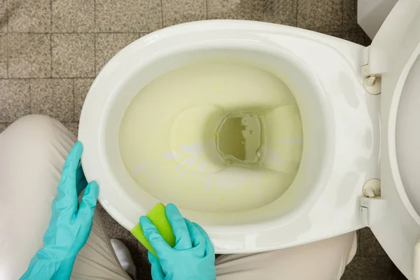 Чистка туалета на дому — стоковое фото