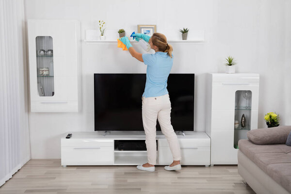 Woman Cleaning Furniture