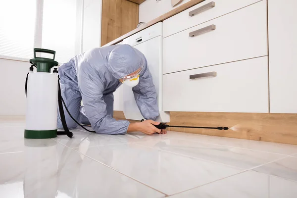 Exterminator Spraying Pesticide — Stock Photo, Image