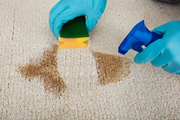 Person putzt Teppich — Stockfoto