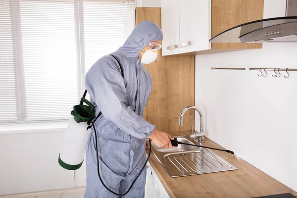 Worker Spraying Pesticide — Stock Photo, Image