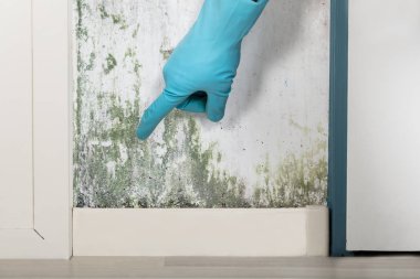 Person Pointing On Wall  clipart