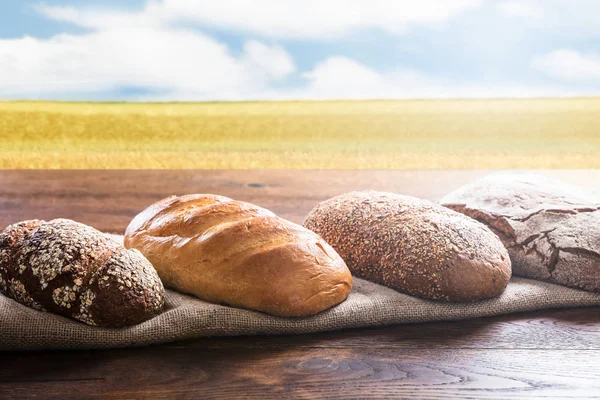 Frisch gebackenes Brot — Stockfoto