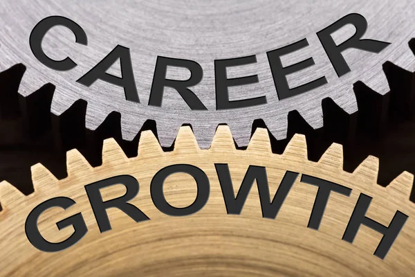 Career Growth Concept — Stock Photo, Image
