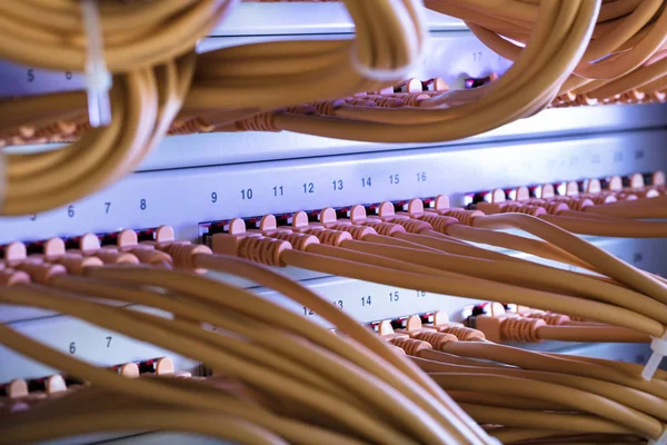 Kabel mit Server verbunden — Stockfoto