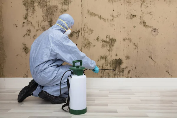 Pest Control pracovník postřik pesticidů — Stock fotografie