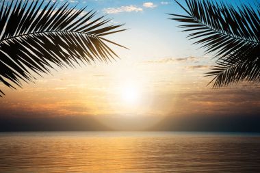 Deniz Mısır, bulutlu gökyüzü günbatımı sırasında karşı bakış