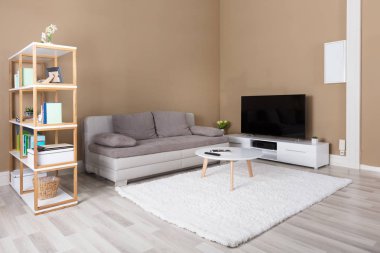 Televizyon ve kanepe