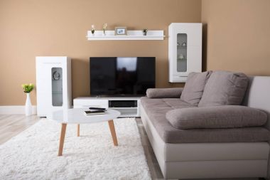 Televizyon ve kanepe