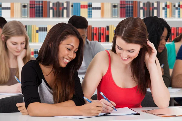 Zwei Multiethnische Studentinnen Lernen Gemeinsam Der Bibliothek — Stockfoto