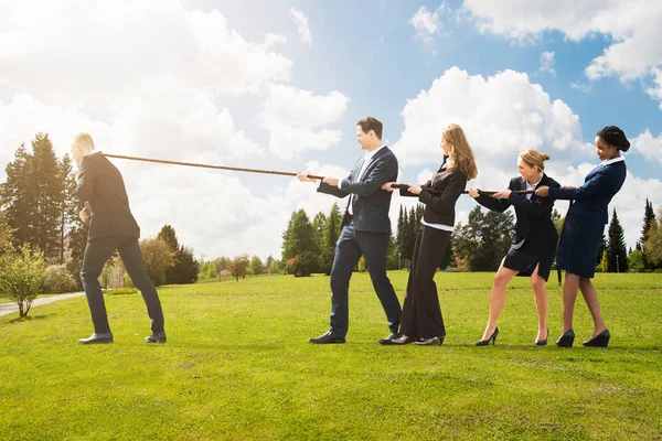 Group Business People Pulling Rope Direction Park — Stock Photo, Image