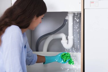 Peçete tutan kadın 