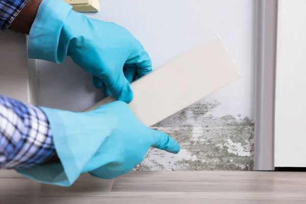 Persoon controleren beschimmeld muur — Stockfoto