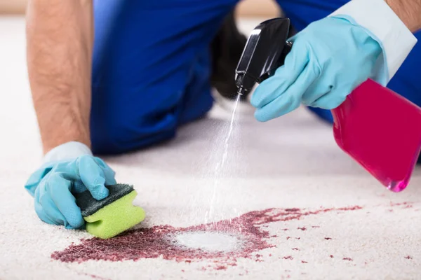Person rengöring fläcken på mattan — Stockfoto