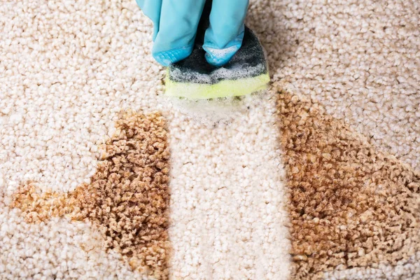 Person Cleaning Stain Of Carpet — Stock Photo, Image