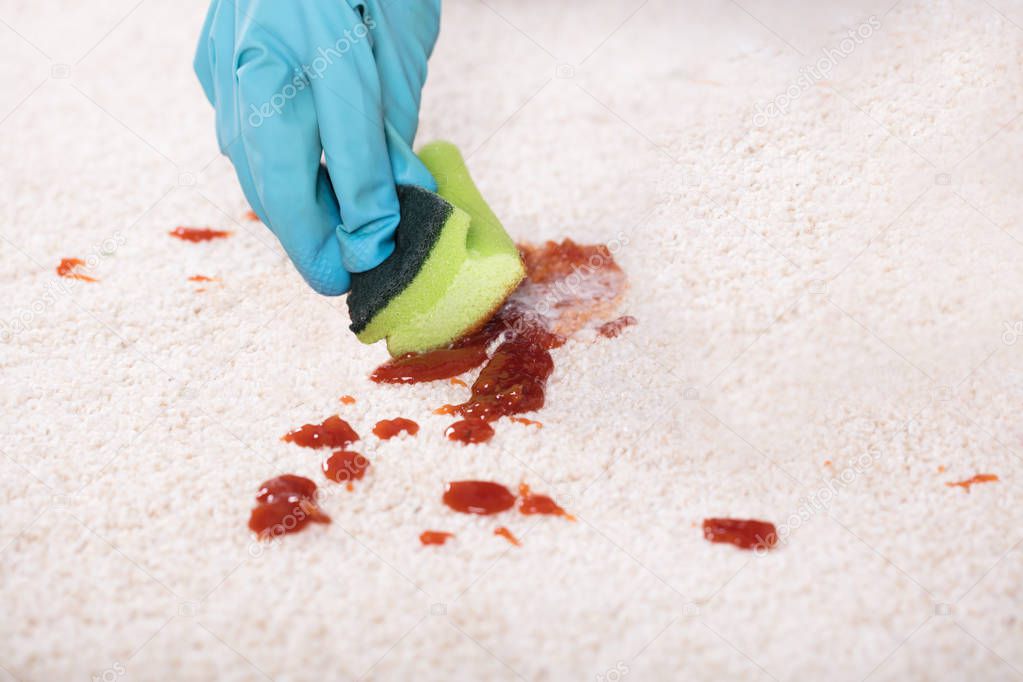 Person Cleaning Stain Of Carpet 