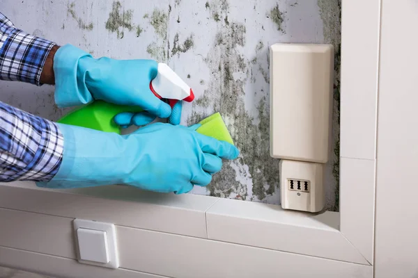 Hand schoonmaak schimmel uit de muur — Stockfoto