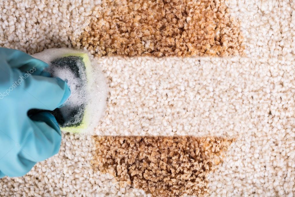 Person Cleaning Stain Of Carpet