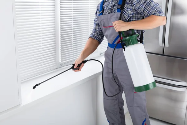 Worker Spraying Insecticide — Stock Photo, Image