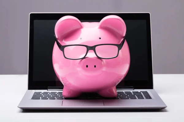 Piggybank med glasögon på Laptop — Stockfoto