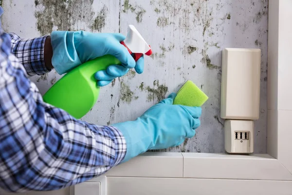 Ręce do czyszczenia pleśni z ściany — Zdjęcie stockowe