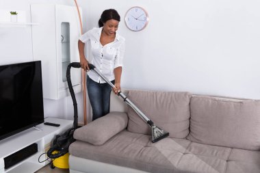 kadın temizlik kanepe 