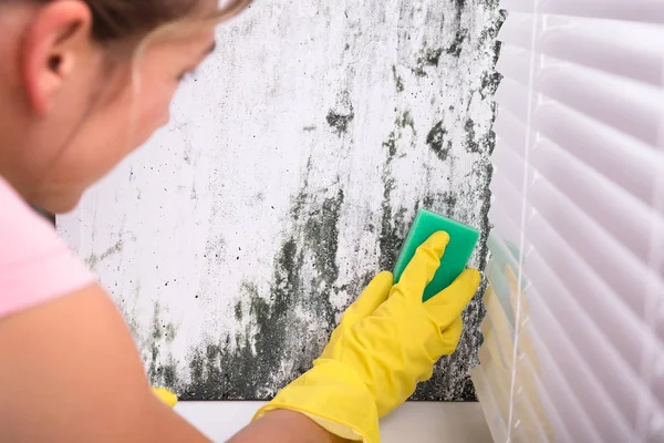 Vrouw schoonmaak muur — Stockfoto