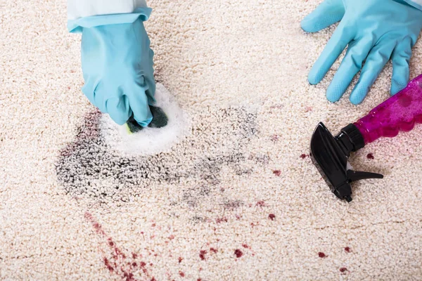 Person Cleaning Carpet — Stock Photo, Image