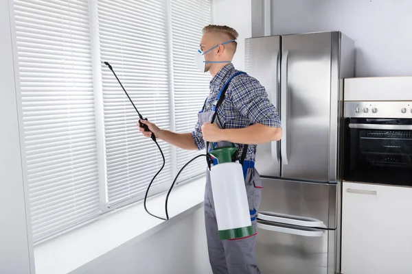 Midsection Worker Spraying Insecticide Windowsill Sprayer Kitchen — Stock Photo, Image