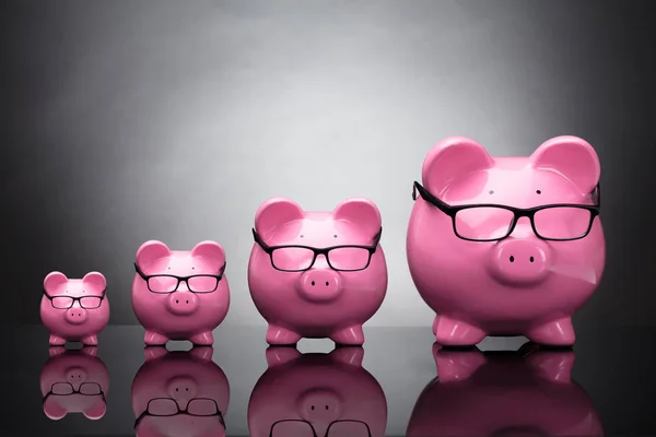 Piggybanks Rosa Vestindo Óculos Mantidos Uma Fileira Fundo Cinza — Fotografia de Stock