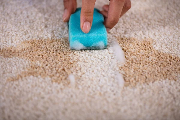 Janitor Cleaning Stain Carpet Sponge — Stock Photo, Image