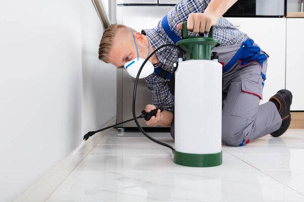 Pest Control Worker Spraying Pesticide On Wall with Sprayer In Kitchen
