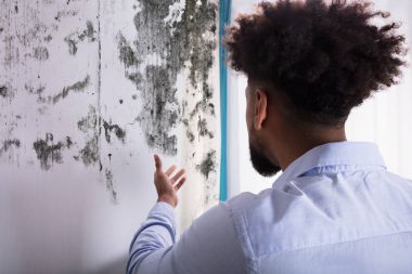 Rear View Of A Young Man Looking At Mold On Wall clipart