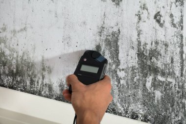 Bir kişinin el küflü duvar ıslaklık ölçme Close-Up
