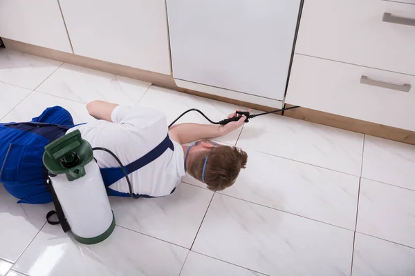 Werknemer Van Jonge Mannelijke Verdelger Spuiten Insecticide Chemische Keuken — Stockfoto