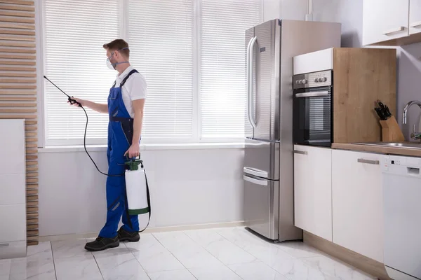 Young Male Exterminator Worker Spraying Insecticide Chemical Kitchen — Stock Photo, Image