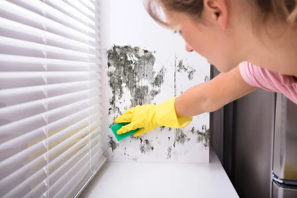 Close Woman Cleaning Mold Wall Using Spray Bottle Sponge — Stock Photo, Image