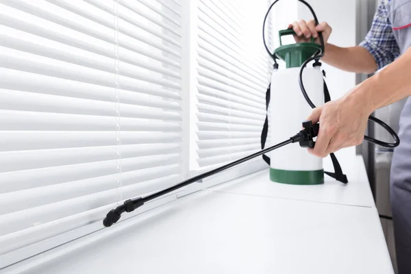 Midsection Worker Spraying Insecticide Windowsill Sprayer Kitchen — Stock Photo, Image