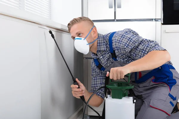 Pest Control Werknemer Sproeien Van Pesticiden Muur Met Sproeier Keuken — Stockfoto